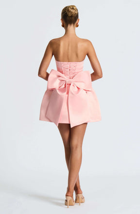 Abbey Mini Dress - Blush R.F