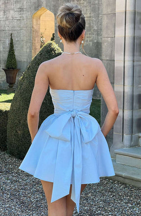 Katrina Mini Dress - Blue Ryvelle